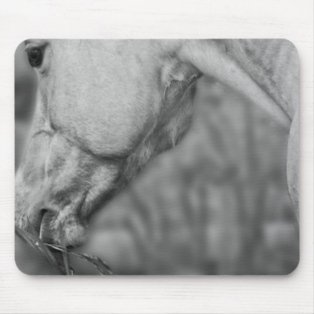 Lightly Dun Dapples - Mousepad (Front)