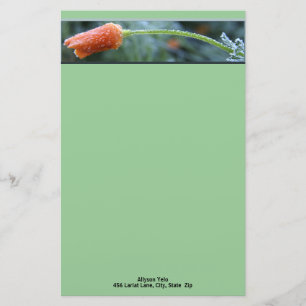 Lightly Frosted California Poppy Personalized Stationery