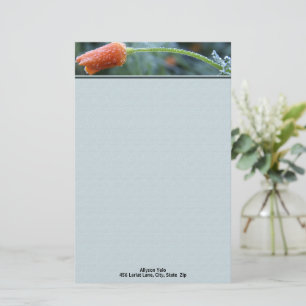 Lightly Frosted California Poppy Personalized Stationery