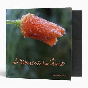 Lightly Frosted California Poppy Photo Template Binder