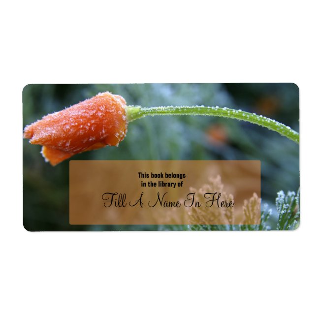 Lightly Frosted Orange California Poppy (Front)