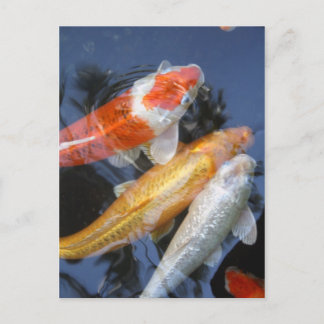 lightner's 042 postcard