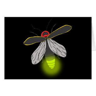 lightning bug flight lit