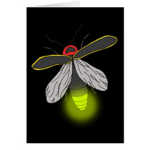 lightning bug flight lit