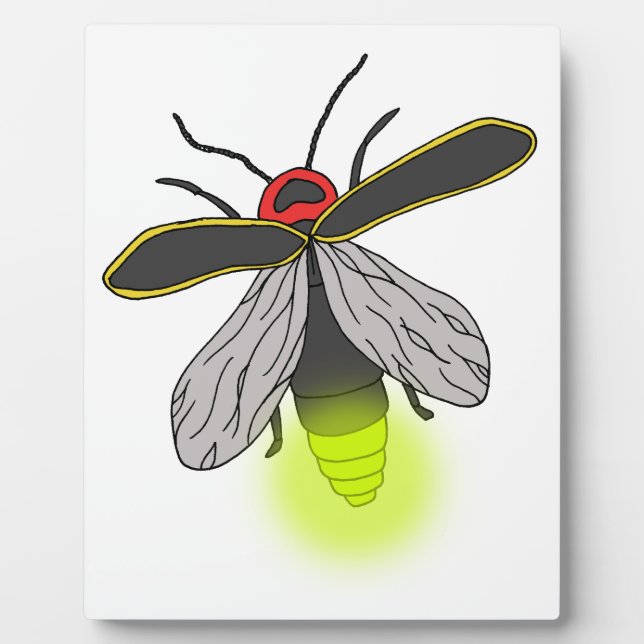 lightning bug flight lit plaque (Front)