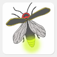 lightning bug flight lit