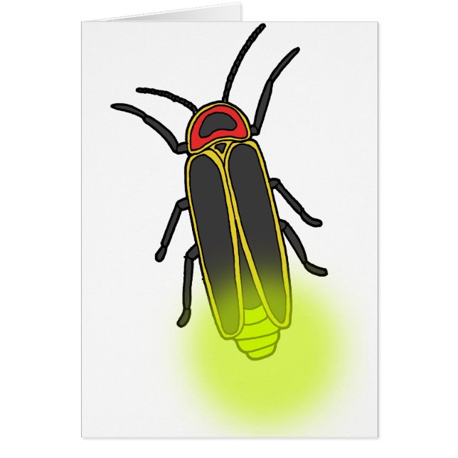 lightning bug lit (Front)