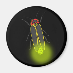 lightning bug lit magnet