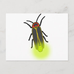lightning bug lit postcard