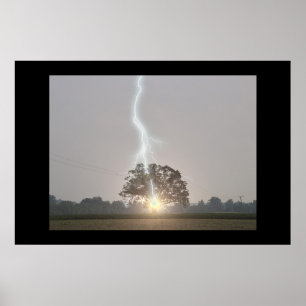 Lightning Strikes Oak Tree Poster