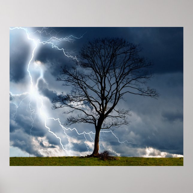 Lightning Tree Poster (Front)