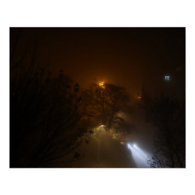 Lights in the fog poster (Front)
