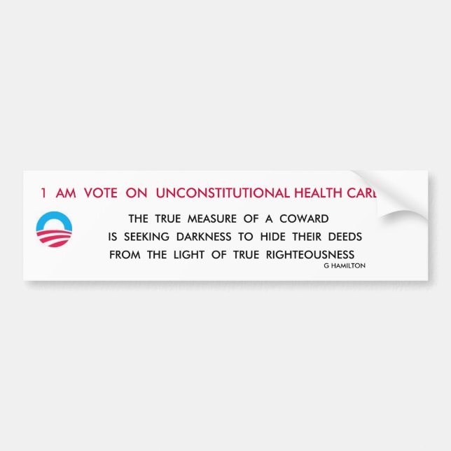 LIGHTS PLEASE BUMPER STICKER (Front)