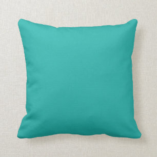 LightSeaGreen Throw Pillow