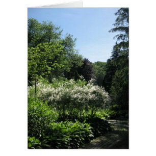 Ligne blanche