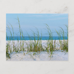 Ligne D'Aiguilles En Sable Blanc Carte Postale