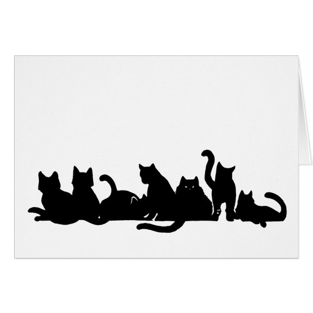 Ligne de chaton (Devant horizontal)