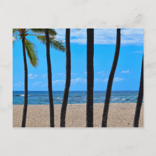 Ligne de palmiers de plage - Hawaii - Carte postal
