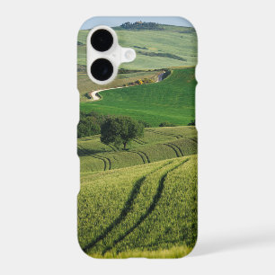 Lignes courbes dans la Toscane verte
