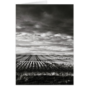 lignes de champ de ferme