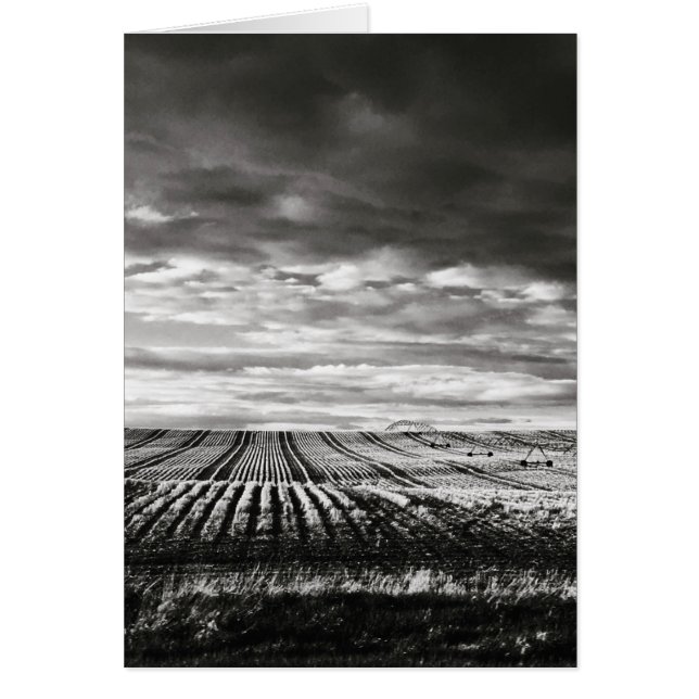 lignes de champ de ferme (Devant)