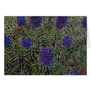 Lignes de Lavender