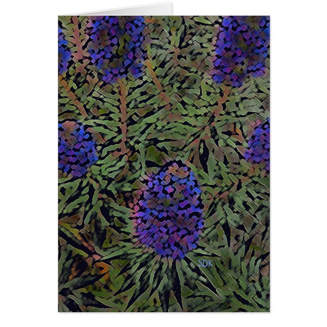 Lignes de Lavender (Devant)