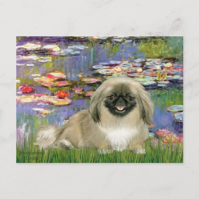 Liies 2 - Pekingese 1b Postcard (Front)