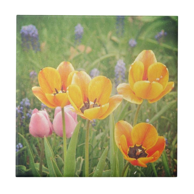 Like a beautiful still life painting tile (Front)