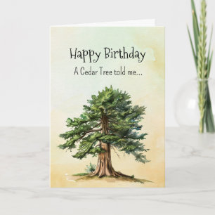 Like a Cedar Tree Spirit  Birthday Personalities  Card