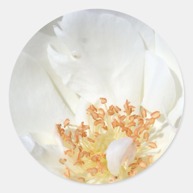 Like a feather 2 Round Sticker (Front)