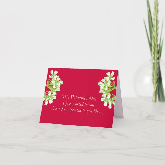 Like a Fly to a Venus Flytrap Holiday Card (Front)