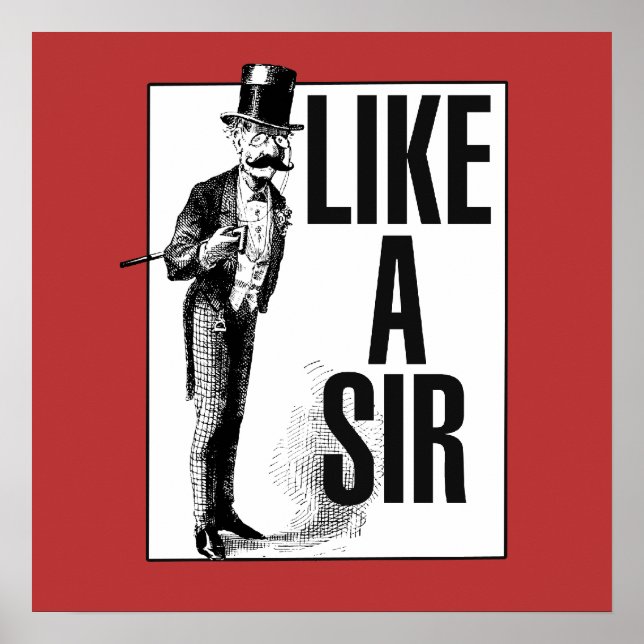 Like a SIR Poster (Front)