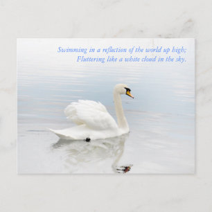 Like a White Cloud Postcard