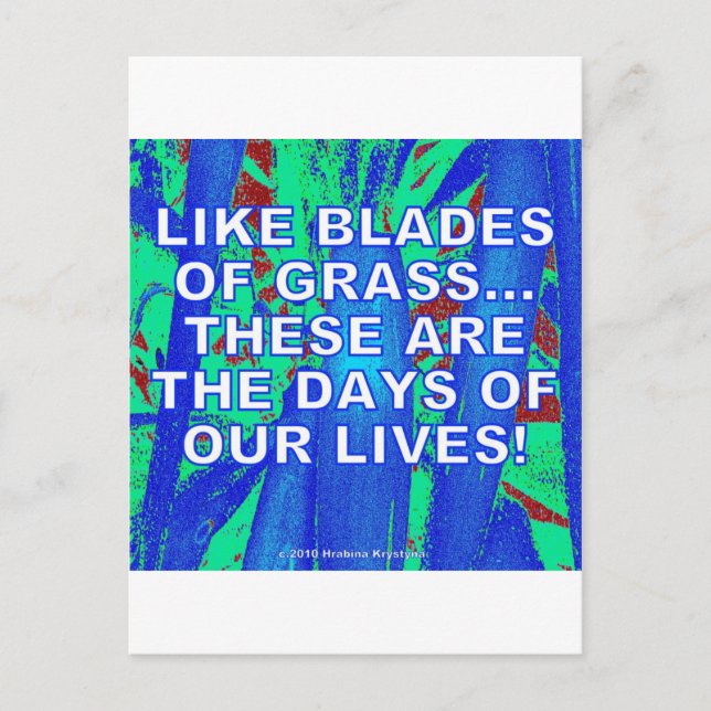 LIKE BLADES OF GRASS POSTCARD (Front)