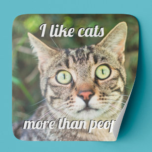 Like cats more than people green-eyed cat close-up square sticker