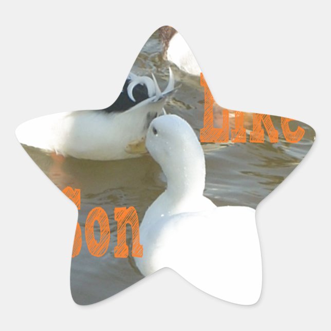 Like Father Like Son. Star Sticker (Front)