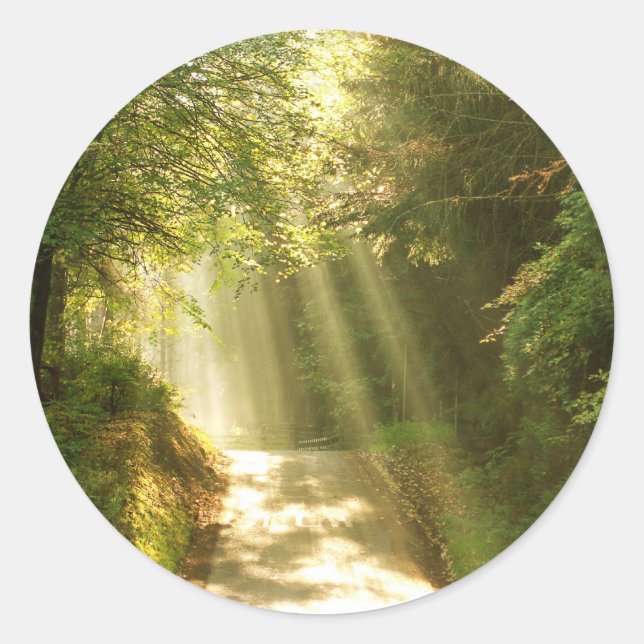 Like in heaven, forest with beams of sun classic round sticker (Front)