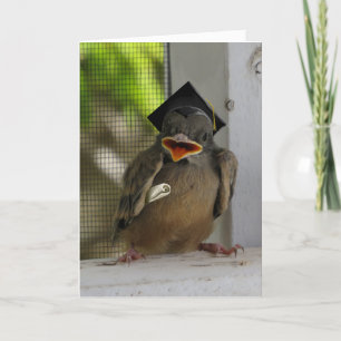 Lil Birdie, Happy smiling Bird, Graduation Holiday Card