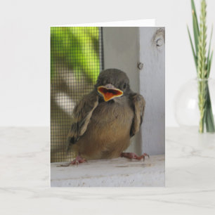 Lil Birdie, Happy smiling Bird   Holiday Card