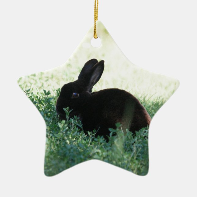 Lil Black Bunny Ceramic Ornament (Front)