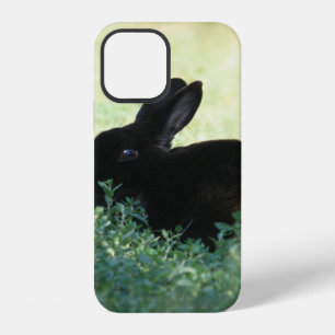 Lil Black Bunny iPhone 12 Case