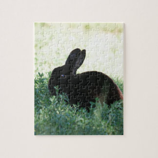 Lil Black Bunny Jigsaw Puzzle