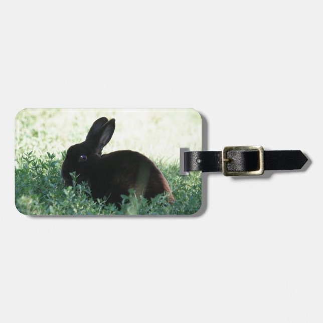 Lil Black Bunny Luggage Tag (Front Horizontal)