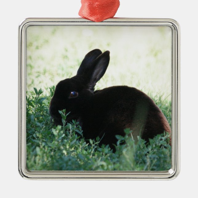Lil Black Bunny Metal Ornament (Front)