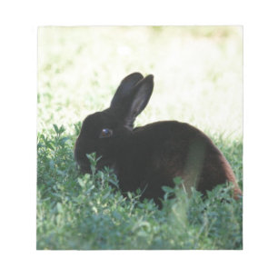 Lil Black Bunny Notepad