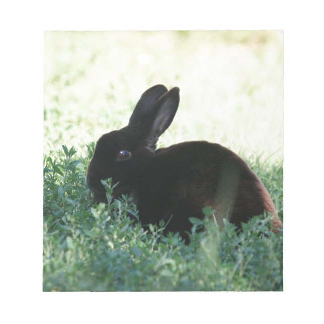 Lil Black Bunny Notepad (Front)