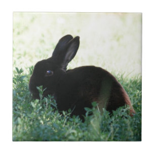 Lil Black Bunny Tile