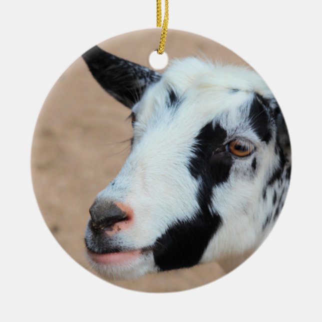 Lil goat  ceramic ornament (Front)