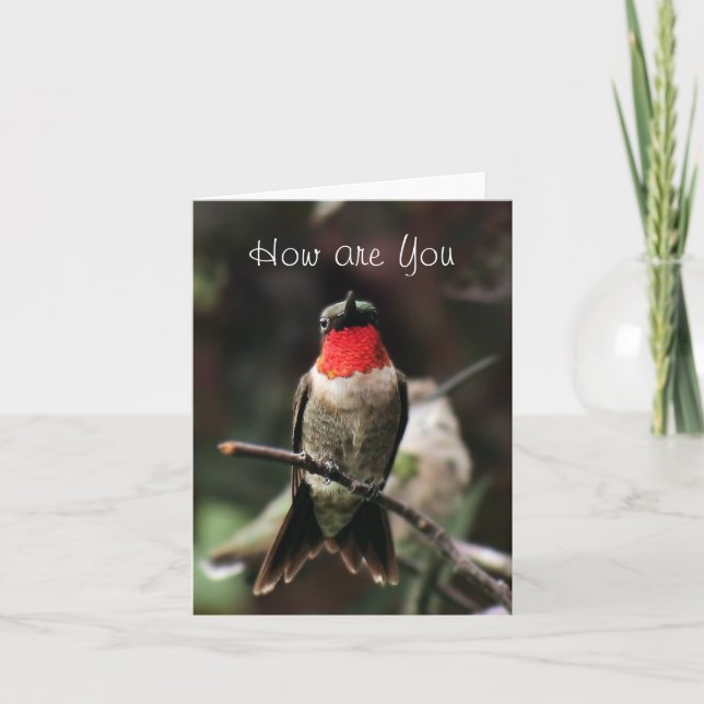 Lil Hummingbird Male greeting or notecard-customiz Card (Front)
